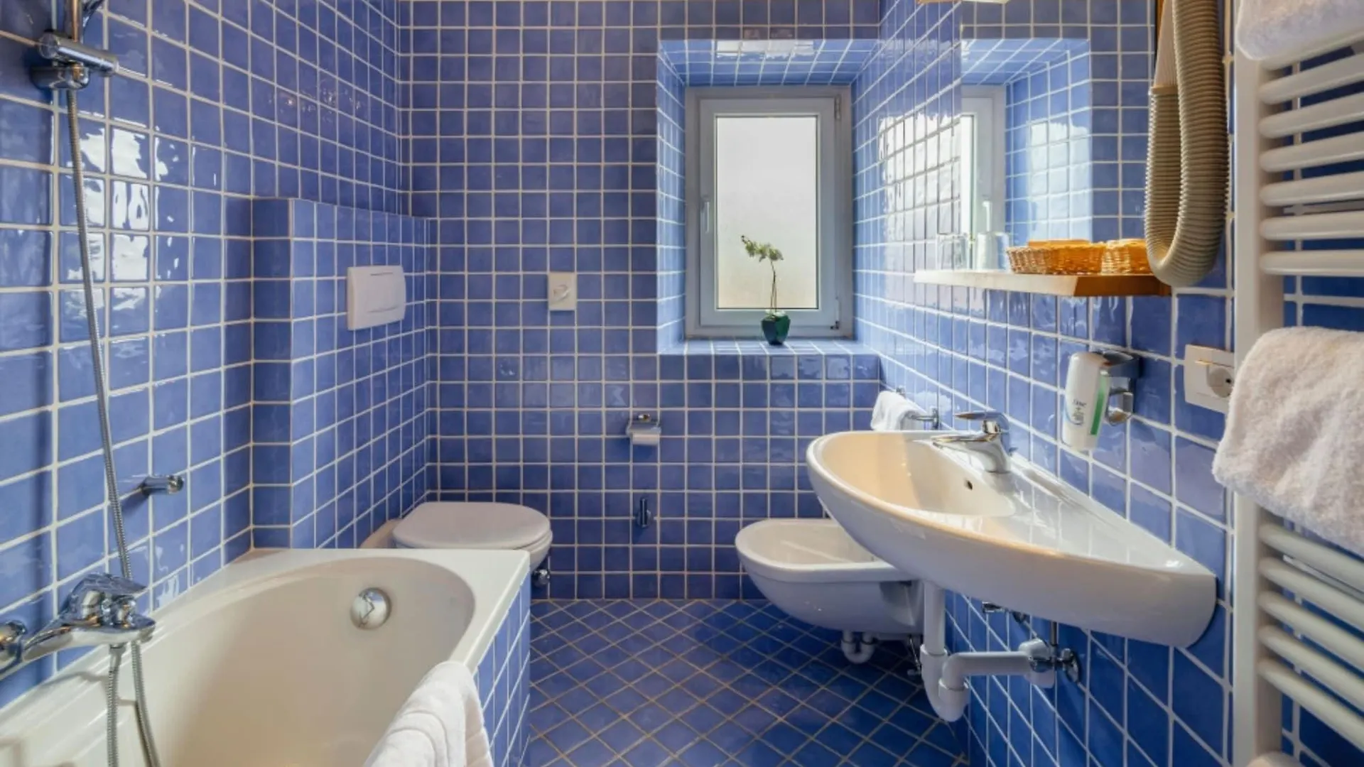 Hotel Aquila Cortina d'Ampezzo 3*,